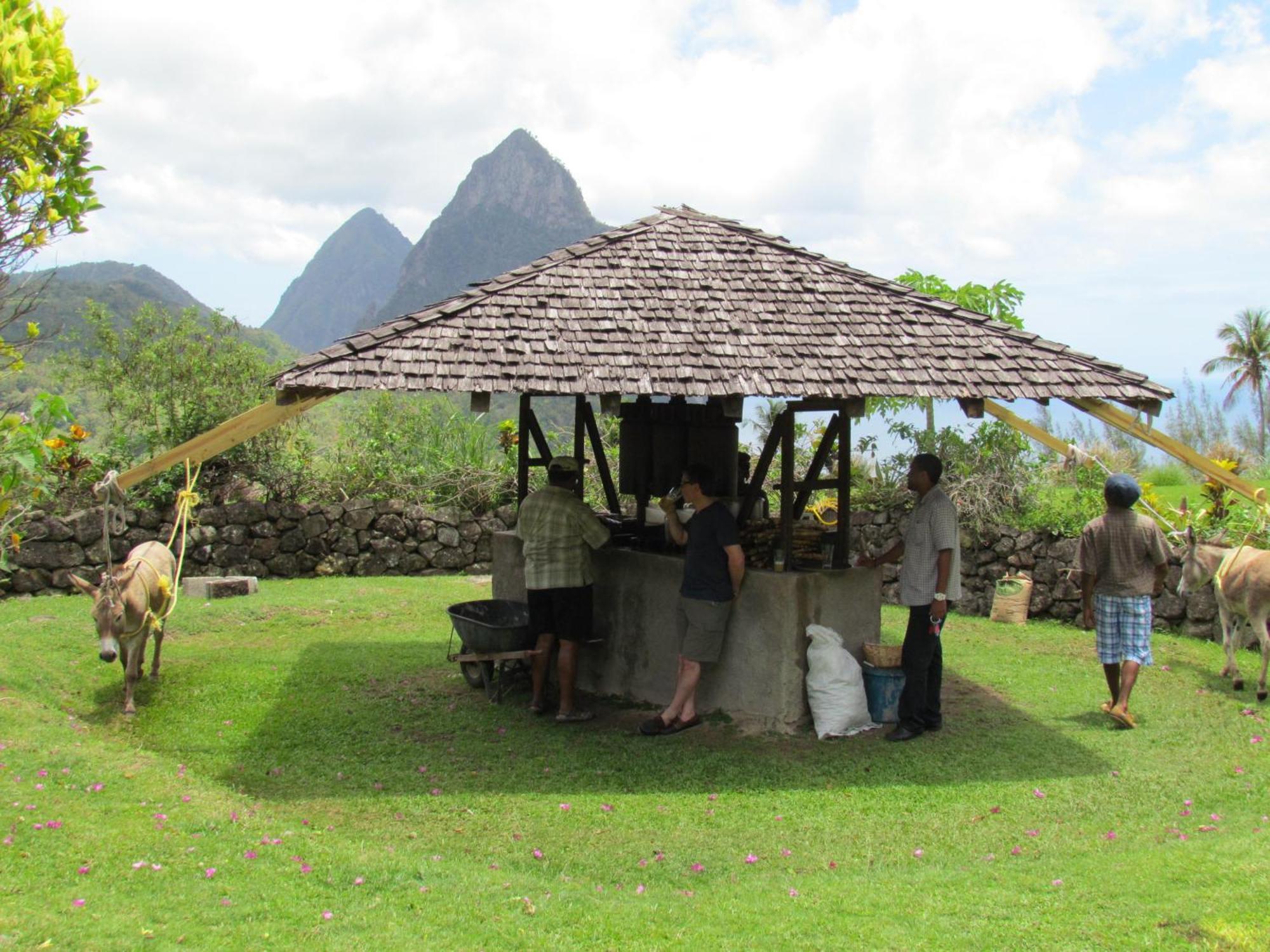 La Haut Resort Soufrière Exterior foto